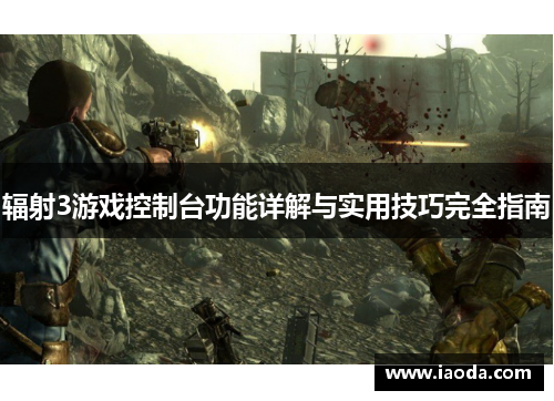 辐射3游戏控制台功能详解与实用技巧完全指南